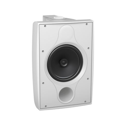 TANNOY DVS 8 WH фото 2